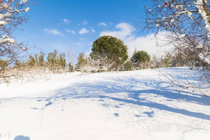 白色的雪，山上有树木，在蓝天的概念下旅行，在雪的背景下度假