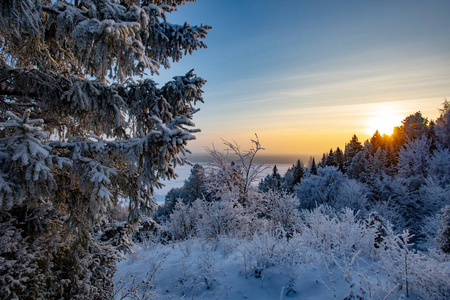 冬季景观。 冬天寒冷的晴天。 白雪覆盖的森林。