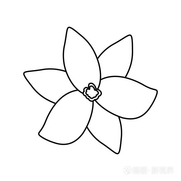 线美丽的热带花卉植物与花瓣矢量插图
