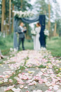 婚礼仪式在拱门上与松林风格的美术。 欧洲婚礼上美丽的夫妇和传统。