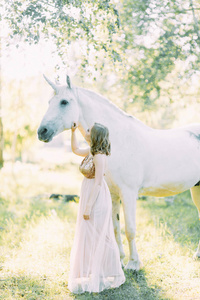 空中照片拍摄日落在森林与一匹马。 一个穿着独角兽飞行服装的女孩。