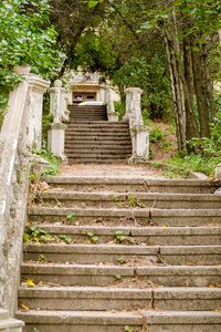 在日落山。美丽的自然景观，在夏季时间