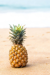 靠近海洋的金色沙滩上成熟的菠萝