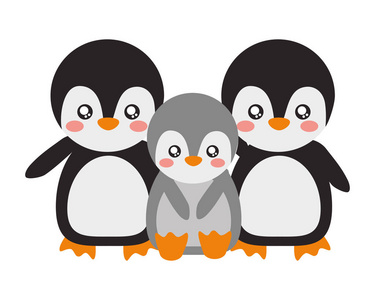 可爱的家庭企鹅动物