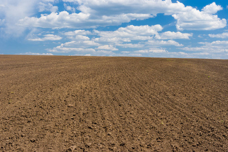 乌克兰农业的简单纯净的土地和天空