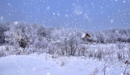 美丽的冬季景观与降雪