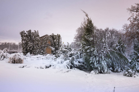 公园里美丽的冬季雪景