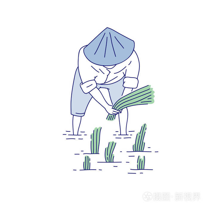 插画 中国农民种植水稻幼苗.传统服装亚洲农业文化中的矢量线艺术人.