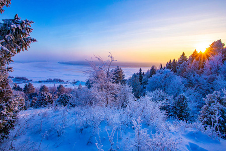 冬季景观。 冬天寒冷的晴天。 白雪覆盖的森林。