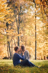 年轻漂亮的夫妇正坐在秋天公园的草地上。