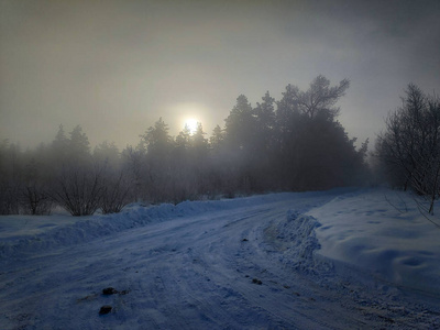 冬天的风景在森林里，许多雪树枝在雪的自然景观中，有一个寒冷和雪的冬天。