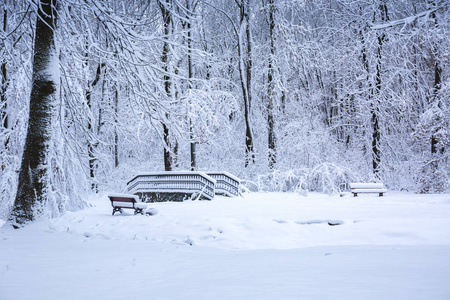 公园里美丽的冬季雪景