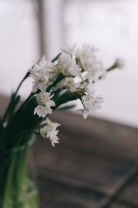 花水仙。 在木桌上。 在花店里。 最美丽的植物。