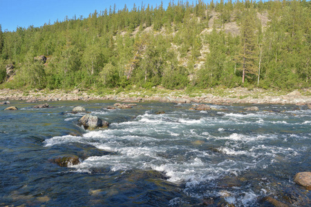 泰加河上的河流门槛。 极地乌拉尔的夏季水急流景观。