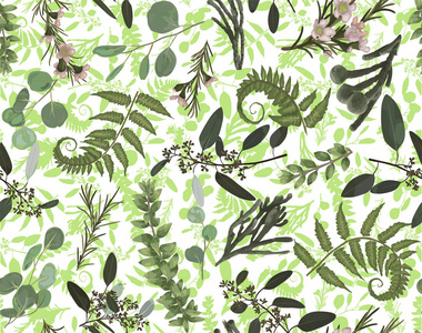 无缝图案背景纹理打印与轻水彩手画绿色桉树森林蕨类植物分支箱木布鲁尼亚布克斯。 柔软优雅的纺织面料包装背景