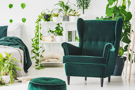 绿宝石绿色舒适的扶手椅和沙发在当代卧室内部与城市丛林