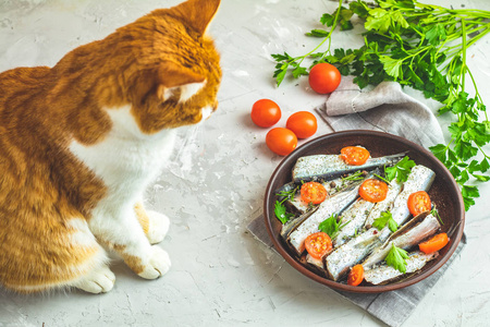 沙丁鱼或波罗的海鲱鱼与迷迭香百里香西红柿切片和空间在陶瓷板上的浅灰色混凝土台面。 生的未煮熟的海鱼和红猫。