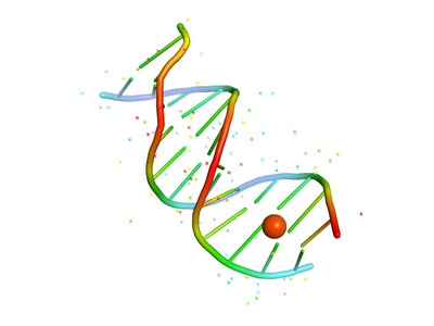 DNA与配体的复合物。 生物聚合物的三维结构。