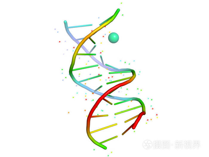 dna与配体的复合物. 生物聚合物的三维结构.