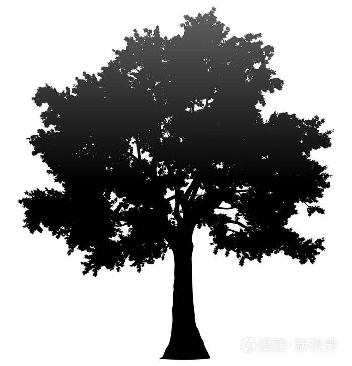 树轮廓轮廓轮廓孤立黑色梯度详细矢量插图