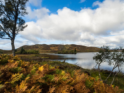 尼斯湖地区苏格兰高地秋季湖景