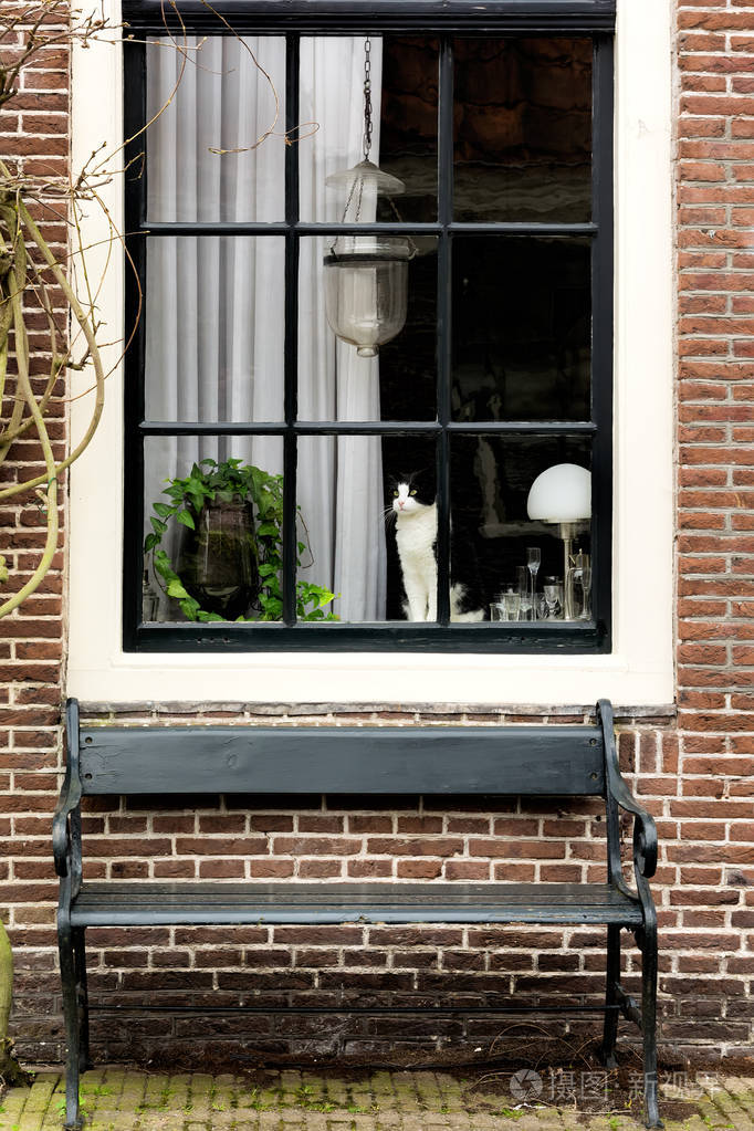 猫坐在窗台上望着窗外的小房子窗下有一张长凳