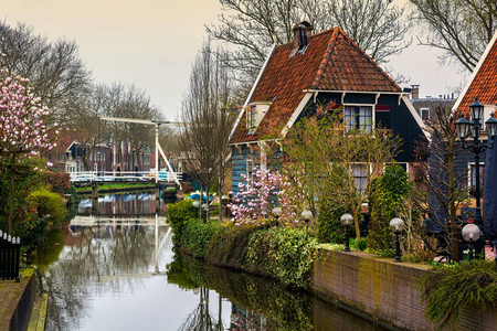 荷兰伊达姆一个小城市的运河上有盛开的春天树木的房子。Edam是荷兰Nordholland地区的一个小村庄。