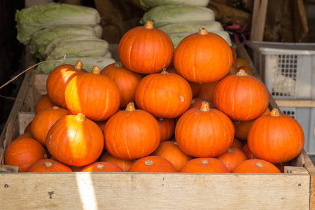 秋季在农贸市场的迷你橙色南瓜