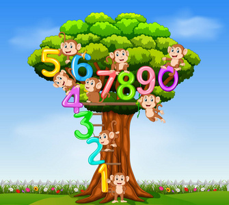 收集编号0到9，猴子在树上