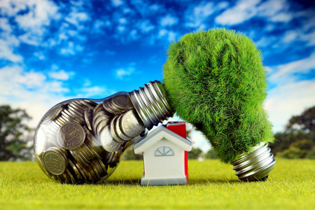 灯泡内的硬币绿色生态灯泡与草和微型房子。 可再生能源概念。 家庭节能的电价。