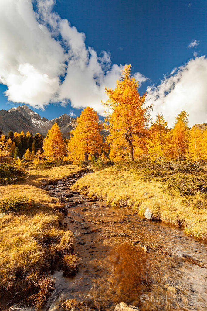 秋天的campo谷格劳宾登紫色湖