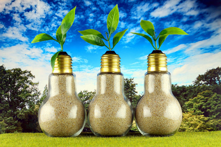 绿色生态灯泡在草地和蓝天背景植物生长在灯泡内。 可再生能源概念。