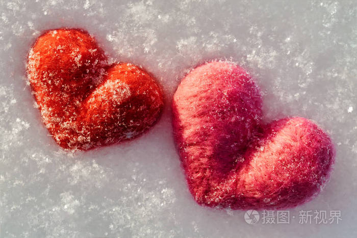冬天两根毛针毡红色和粉红色的心躺在白色蓬松的雪上爱的象征爱海尔特