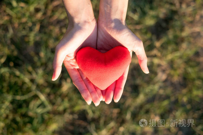 两只手拿着红色的心和绿色的草背景概念给予爱