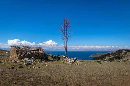 玻利维亚蒂蒂卡湖伊斯拉德尔索尔