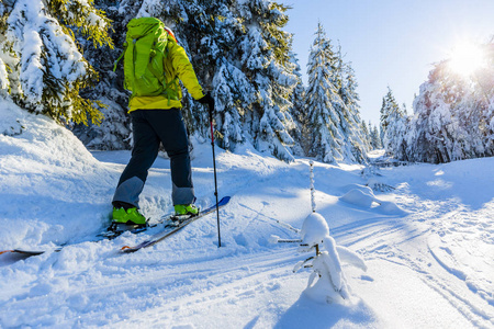 在贝斯基迪山滑雪。 滑雪的人在新鲜的粉末雪中越野滑雪。