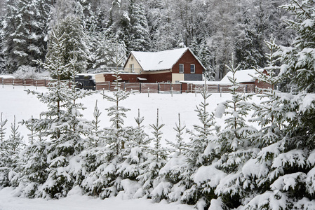 森林旁边的小屋。冬天的立陶宛风景。