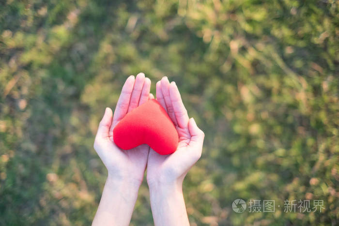 两只手拿着红色的心和绿色的草背景概念给予爱