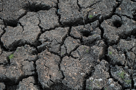干燥开裂的地球纹理背景。 旱地裂化土壤或泥状地表