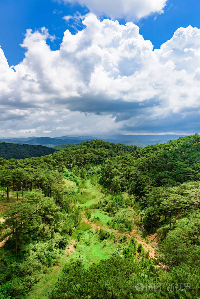 夏日暖阳轻松林鸟瞰空中俯瞰森林