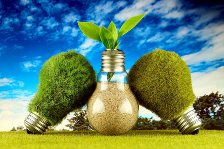 绿色生态灯泡与草植物生长在灯泡和蓝天背景。 可再生能源概念。