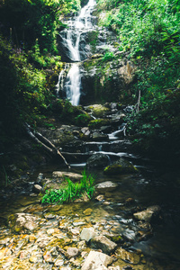夏天森林里的山瀑布。 岸边有湿石头和植物的河流。