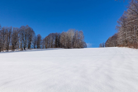 冬天的乡村景观，有雪的草地和覆盖着雪的树木