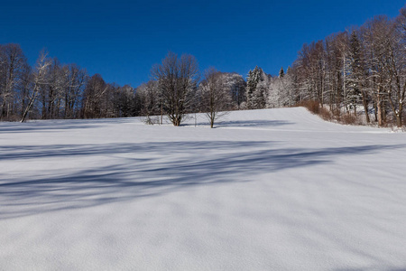 冬天的乡村景观，有雪的草地和覆盖着雪的树木