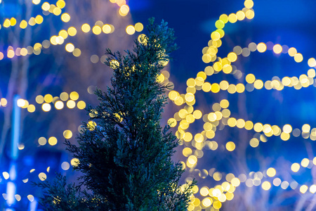 一棵松树的美丽顶部在夜晚，明亮的圣诞灯模糊了背景