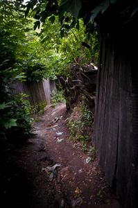 带房子的乡村景观..美丽的背景和风景，景观和全景的乡村与木屋和道路在夏天和下午。