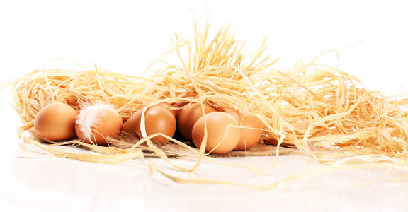 鸡蛋。新鲜的鸡蛋。有羽毛概念的复活节彩蛋