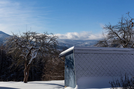 圣诞节和新年背景，山上有冬天的树，覆盖着新鲜的雪魔法节日背景