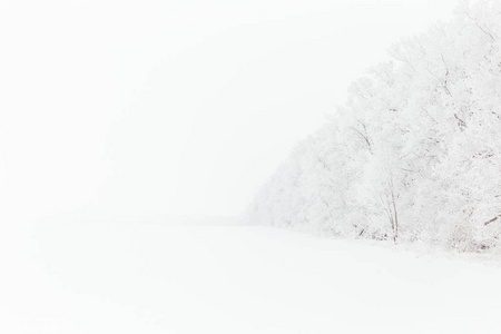 白雪皑皑的空白田野，冬天的霜雾和树木。 具有透视和复制空间的冬季乡村背景