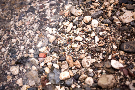 小小的海石。 湿的鹅卵石。 岩石海滩。 水下的石头。